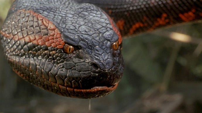 Anaconda (1997)