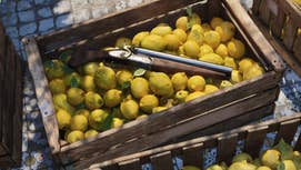 A shotgun in a lemon basket in Mafia: The Old Country.