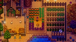 A farm in Stardew Valley.